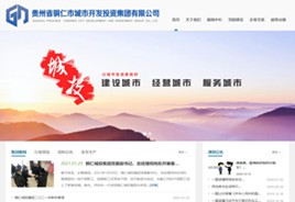 枫木镇城市开发投资集团有限公司