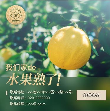 枫木镇果园果林小程序开发